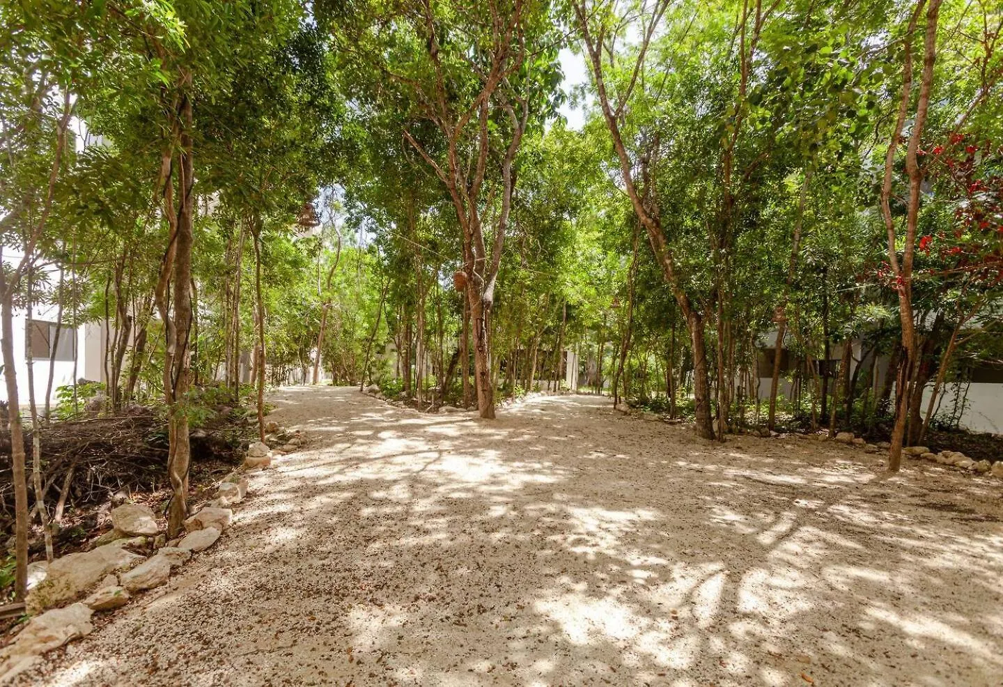 Holiday home Condo Coto8 10Min To Beach, Gym, Pool,Wifi 200Mb Playa del Carmen Mexico